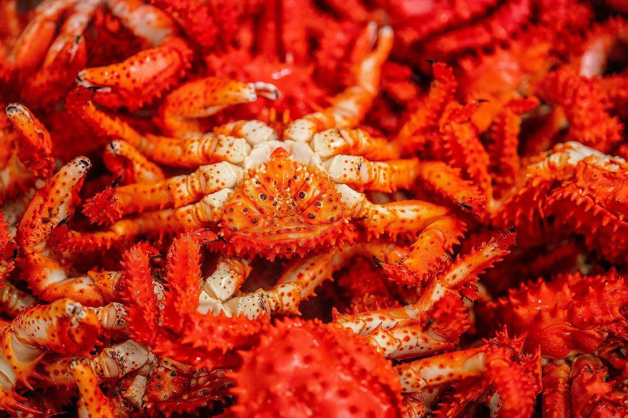 A-43001【12/10まで年内配送】 北の勝「大海」1.8L×2本入