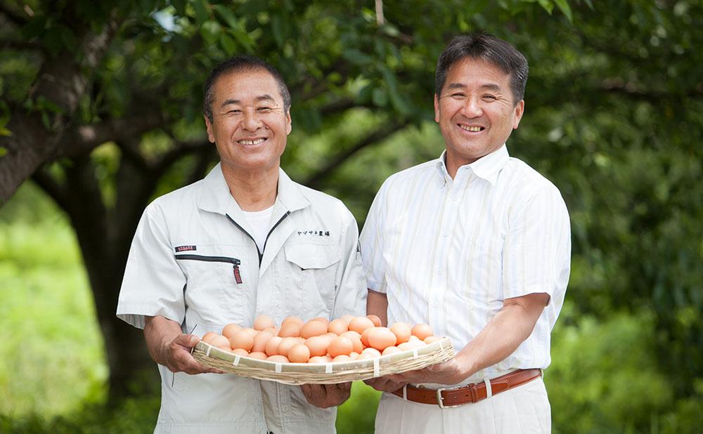 【6回定期便】 ゆず香る卵 ゆずたま 6個入り×5セット | 定期便 毎月 たまご 卵 鶏卵 柚子 たまごかけごはん 優勝 殿堂入り たまごかけ TKG おいしい 高級 人気 おすすめ  高知県 南国市