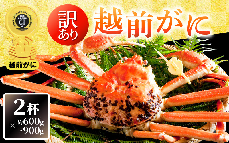 【訳あり】越前がに本場の越前町からお届け！ 越前がに 浜茹で600g～900g前後（※生重量） × 2杯 かにの食べ方しおり付き【かに カニ 蟹】【福井県 越前町 雄 ズワイガニ ボイル 冷蔵 越前ガニ 越前かに 越前カニ ずわいがに ずわい蟹 かに カニ 蟹】【3月発送分】希望日指定可 備考欄に希望日をご記入ください [e14-x004_03]