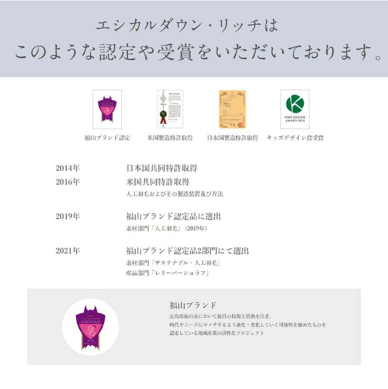 布団 《 日本製 》【 クイーン 】洗える 人工羽毛布団 肌掛け布団 クイーン エシカルダウンリッチ 広島県福山市/イシケン株式会社 羽毛 布団 ふとん 肌掛け 掛け布団 掛布団 軽い 日本製 春 初夏 春用 夏用 寝具 アレルギー対策 サステナブル 子供 こども こども用 キッズ 洗濯可 丸洗い 安眠 睡眠 快眠 国産 広島 福山 ふるさと納税 人気 おすすめ 広島県 [BAAK106]