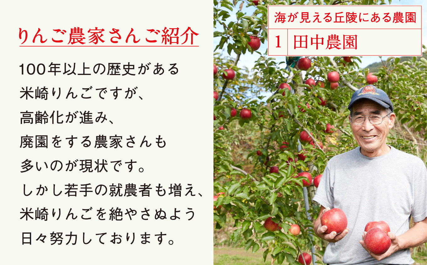 【先行予約】りんご ふじ 3kg 【 米崎りんご 数量限定 りんご リンゴ 林檎 旬 新鮮 産地直送 岩手 陸前高田 産地直送 新鮮 家庭用 】RT671