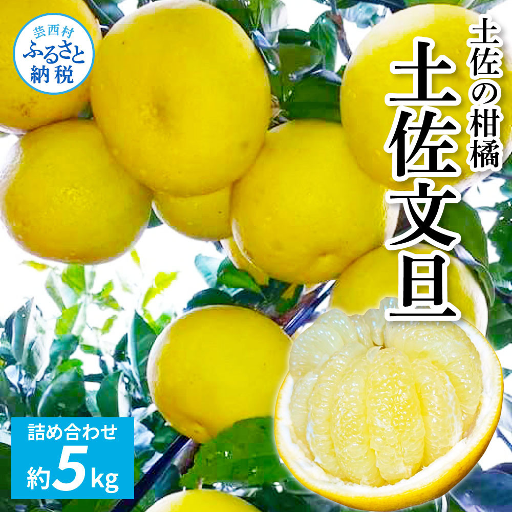 土佐の柑橘 土佐文旦5kg詰め合わせ