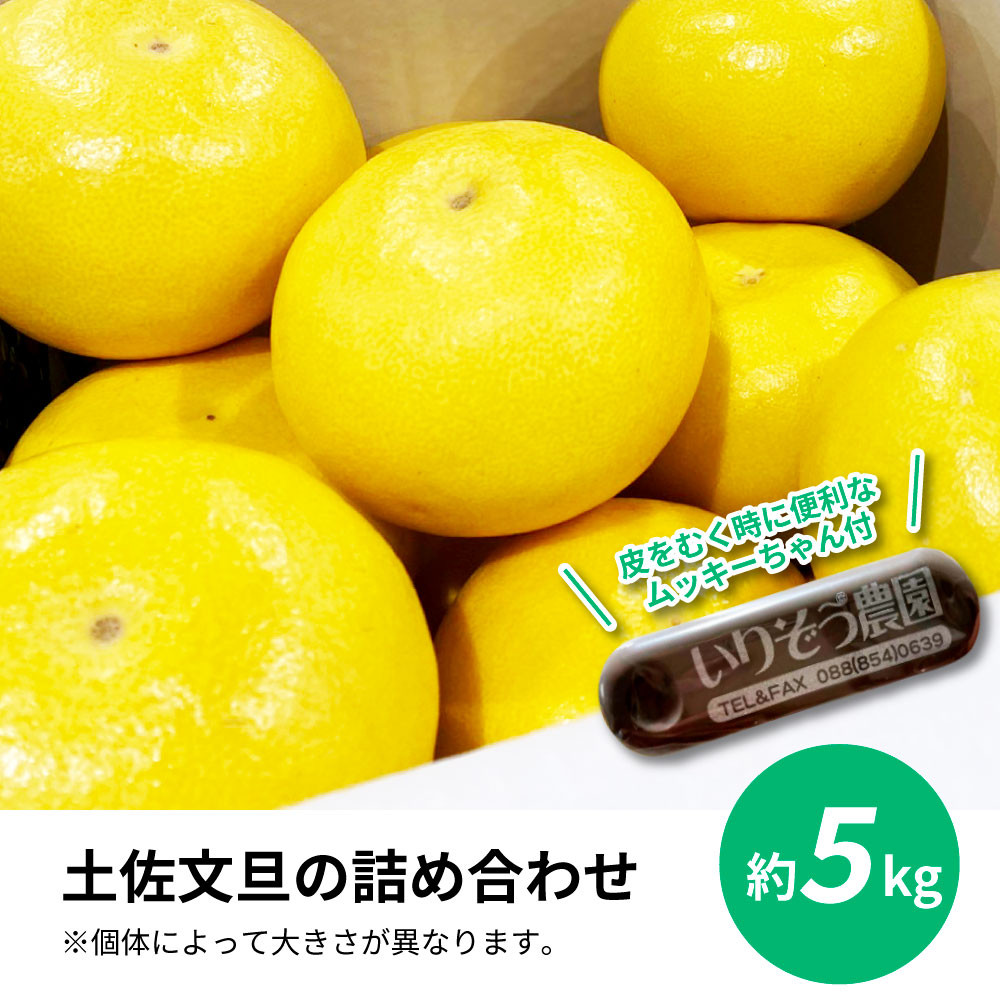 土佐の柑橘 土佐文旦5kg詰め合わせ ムッキーちゃん（皮むき機）付き