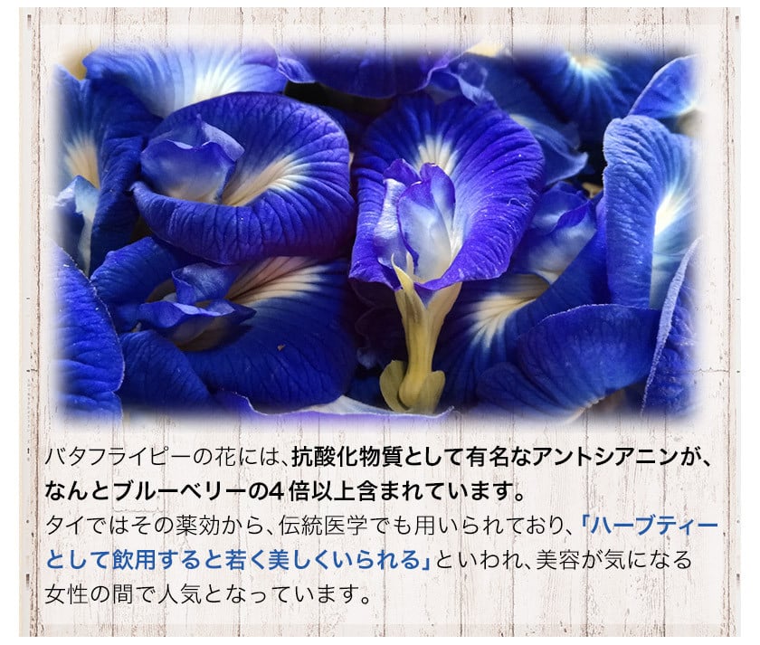 御船町 福永幸山堂のそらいろパスタ 3個入り《60日以内に出荷予定(土日祝除く)》熊本県 御船町 福永幸山堂 パスタ 青いパスタ