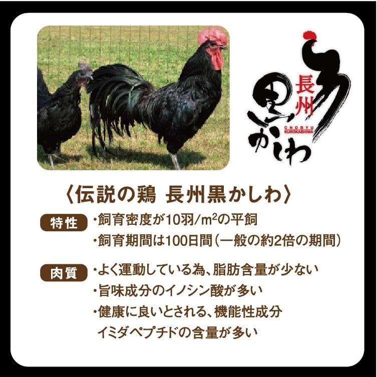 手作り ベーコンとトマトのパスタソース＆黒かしわのから揚げ 【冷凍】 ｜ パスタソーストマトソース からあげ 黒かしわ 地鶏 鶏 鶏肉 トマト ベーコン 惣菜 手作り セット 詰め合わせ 冷凍 特産品 山口 美祢市 美祢