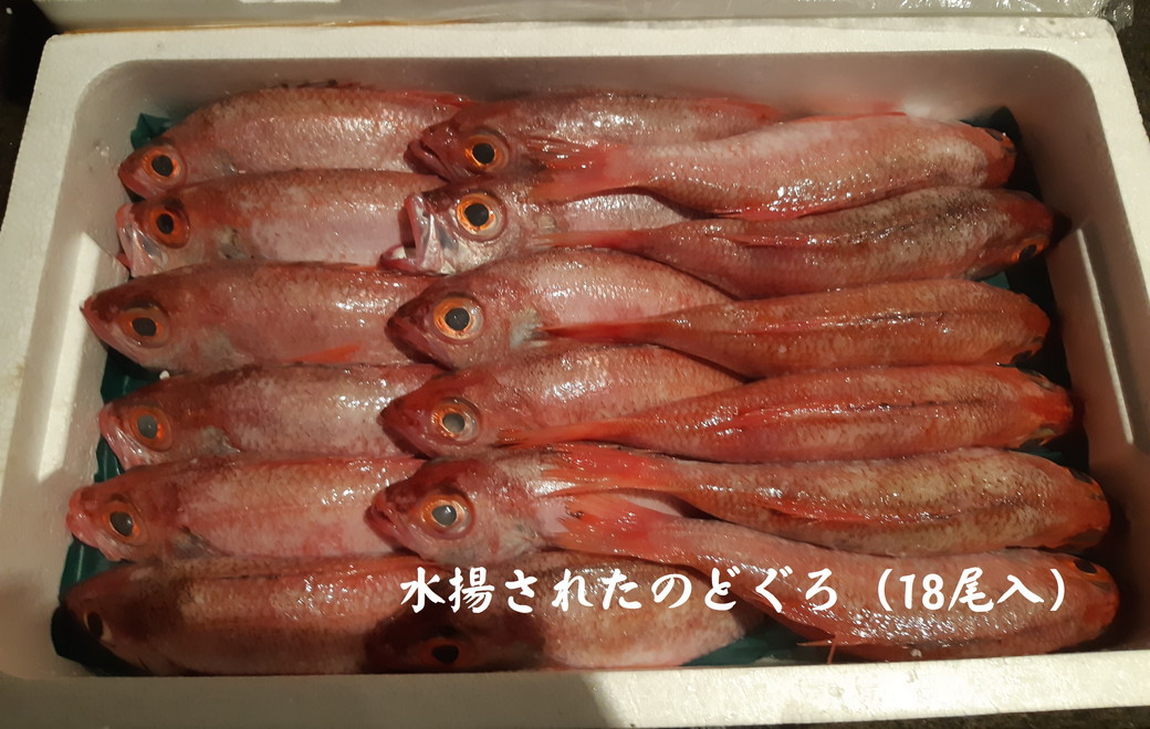 【TV番組で紹介されました！】あけぼの丸と老舗料亭「十久利」が贈るのどぐろ炙りしゃぶしゃぶセット 魚介類 魚貝類 魚 のどぐろ アカムツ しゃぶしゃぶ セット 炙り 料亭の味 老舗 【146_2044】