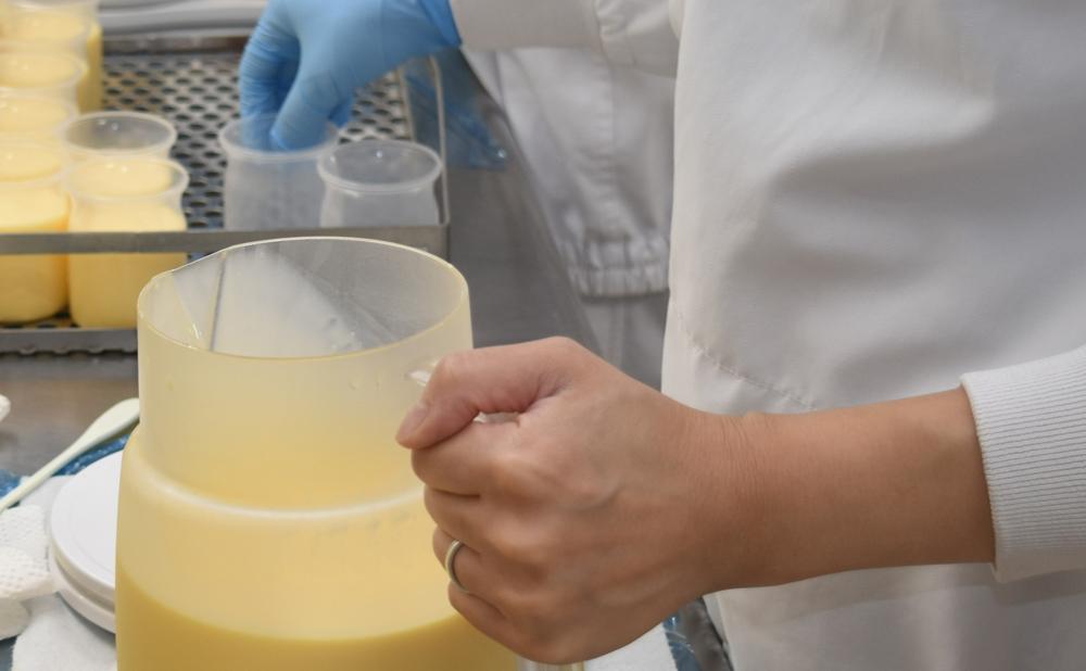 【3ヶ月定期便】「奇跡のプリン」カスタード8個セット 【 プリン カスタードプリン 洋菓子 お菓子 スイーツ デザート 北海道 】_03807