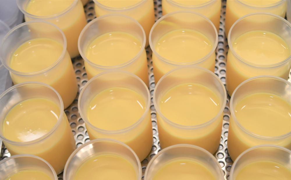 【3ヶ月定期便】「奇跡のプリン」カスタード8個セット 【 プリン カスタードプリン 洋菓子 お菓子 スイーツ デザート 北海道 】_03807