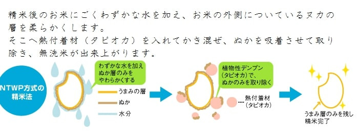 【令和7年産】 福井県のブランド米 いちほまれ 無洗米 4kg（2kg × 2袋）【 無洗米 人気 品種 ブランド米 特A 】 [A-6115]