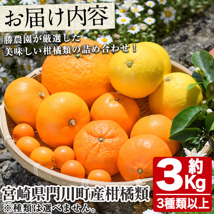 柑橘類おたのしみBOX(約3kg・3種類以上) 柑橘 果物 数量限定 期間限定 国産 フルーツ 詰め合わせ セット 遠見半島 宮崎県 門川町 【AE-22】【勝農園】