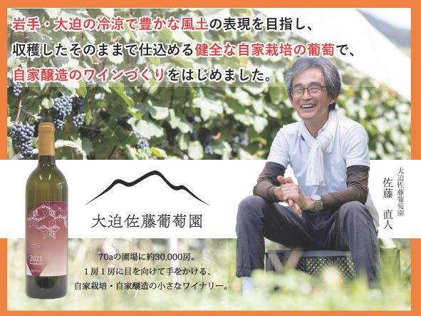 大迫佐藤葡萄園ワイン3本セット(ツヴァイゲルト赤・ロゼ・メルロー・干しぶどう) 【1396】