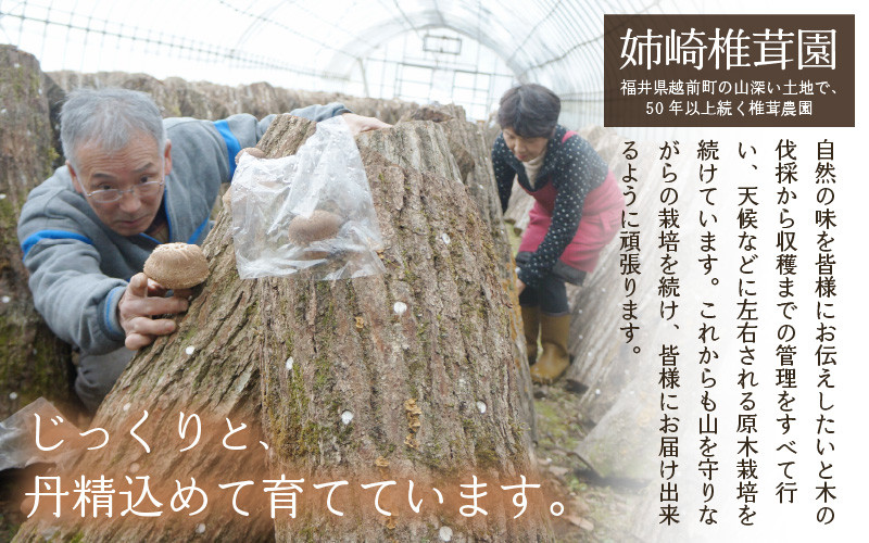 【先行予約】「福井県ブランドしいたけ」原木生椎茸「香福茸」6～8個　高級 極上の逸品！調理レシピ有 食べ甲斐あり大きなシイタケ！ 【2026年1月上旬～2月下旬の間に発送予定】 [e06-b002]