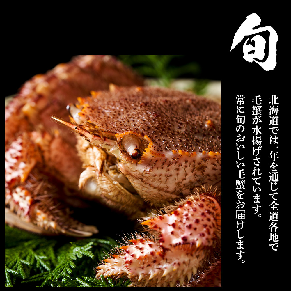 毛蟹 ボイル済み 冷凍 3尾セット 約2.4kg