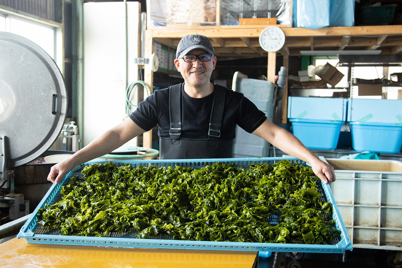 風味豊かな 瀬戸内 わかめ 22g×3袋 エビス水産【岡山 瀬戸内海 天然 カットわかめ】 [№5735-1276]