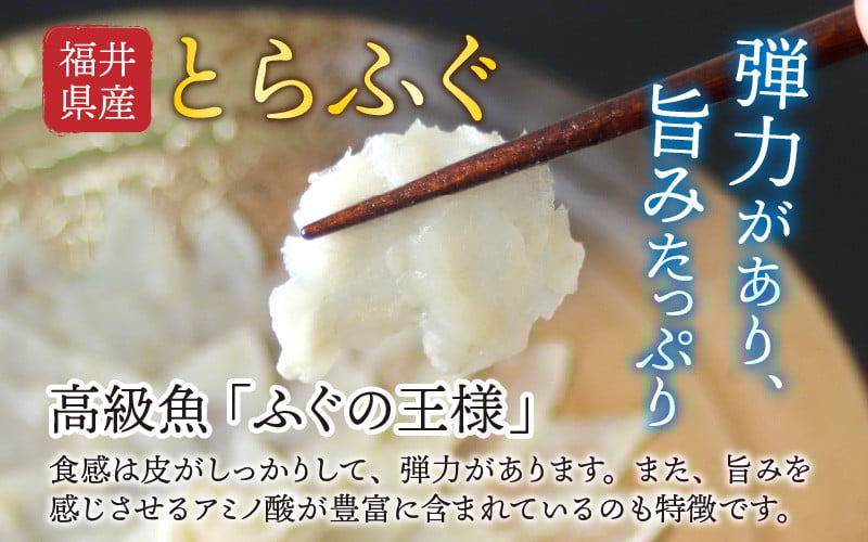 【最新の冷凍技術】福井県産とらふぐのお刺身（てっさ）4人前 約120g [C-11004]