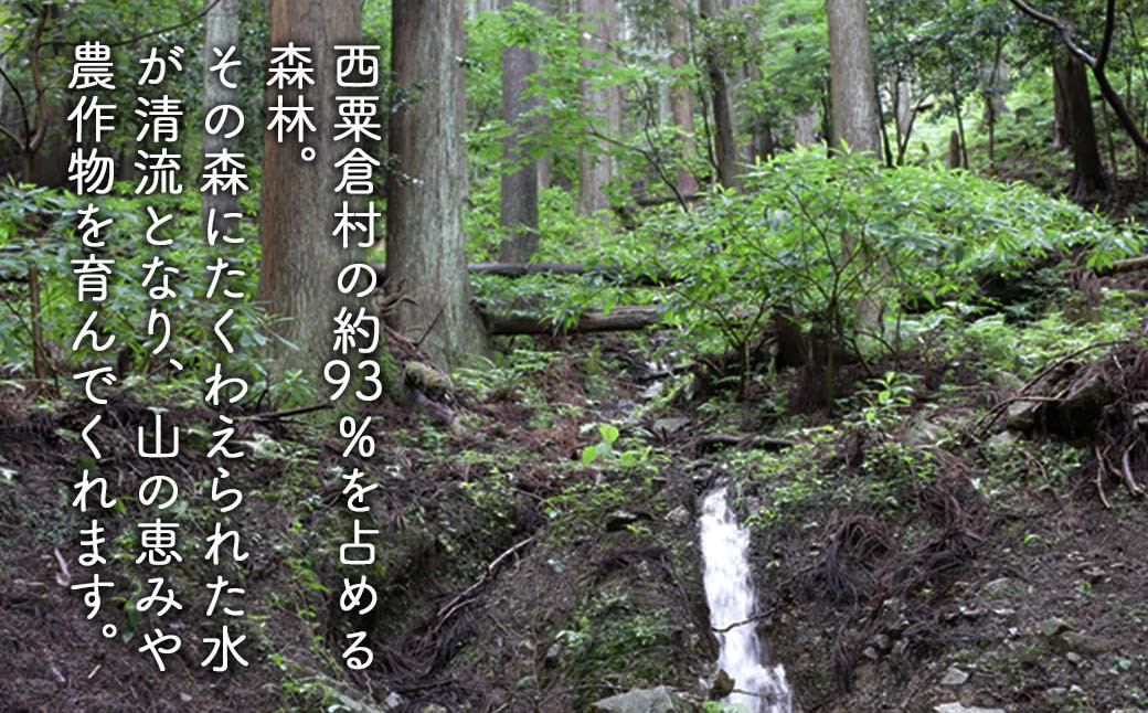 【6回定期便】西粟倉産 旬の野菜 おまかせセット ～半年間、食卓で感じる西粟倉～【配送不可地域：北海道・沖縄・離島】F-FF-C02A