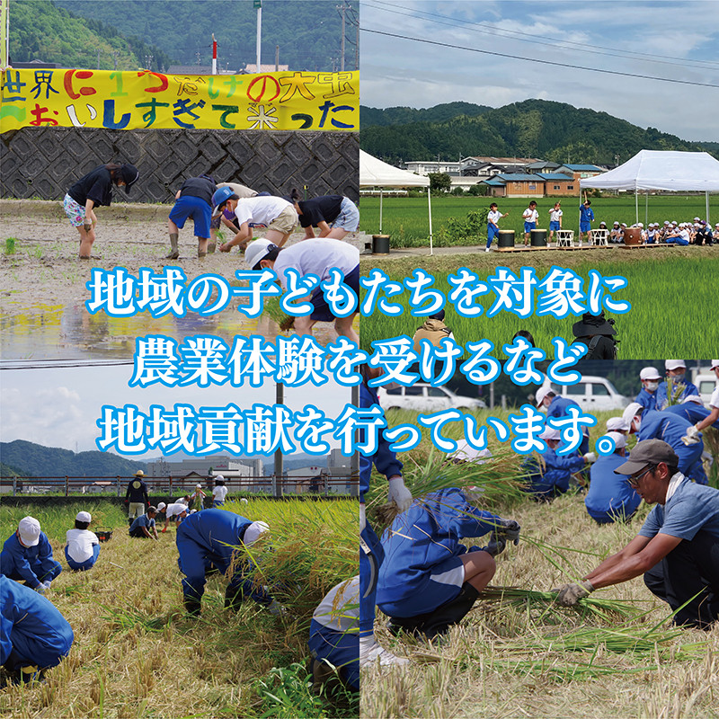 【先行予約】令和7年度産　有機JASこしひかり　10㎏(5㎏×2袋) 弘法大師ファームみつまた 