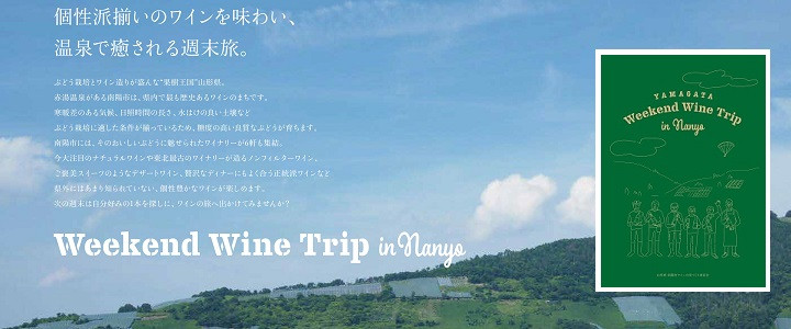 大浦葡萄酒 フルーツワイン 「リンゴワイン・サクランボワイン」500ml×2本セット 『(有)大浦葡萄酒』 ワイン 甘口 山形県 南陽市 [1945]