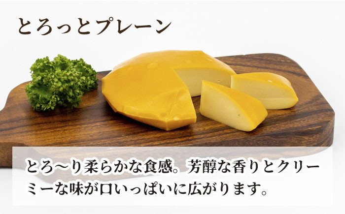 【11月発送】＼リピーター続出／ いぶしチーズ 6種詰め合わせ 燻製 おつまみ お取り寄せ 多治見市/いぶし香房 [TAE001]