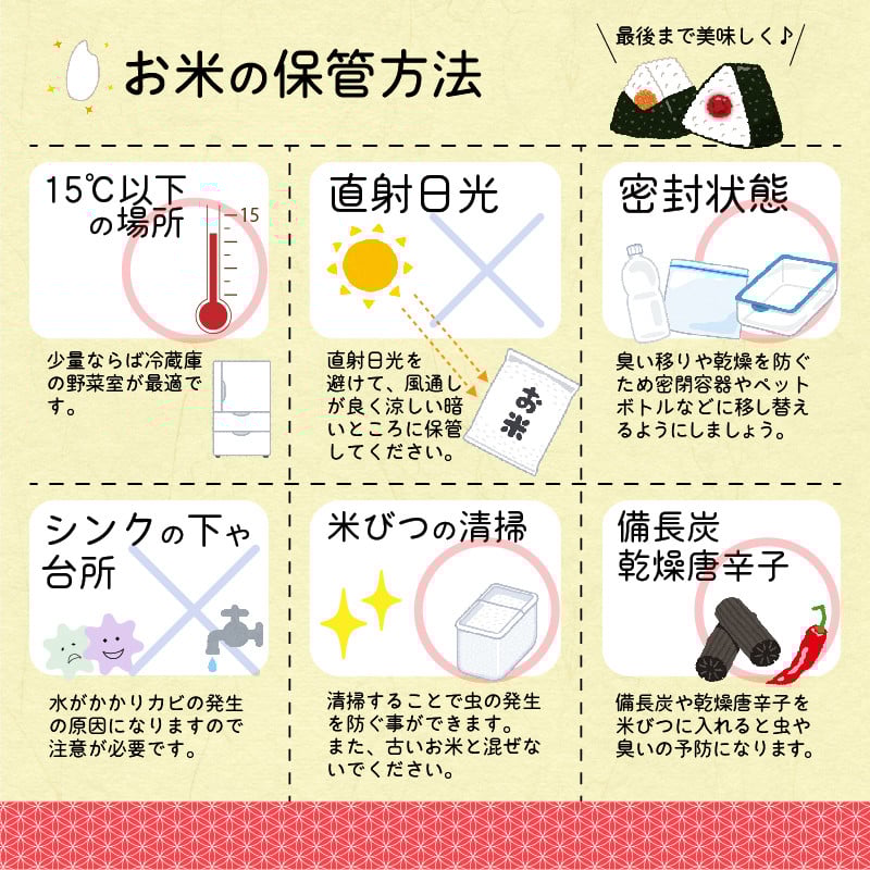 【令和7年産】《6回定期便:11月開始奇数月コース》 はえぬき 玄米 合計60kg (10kg(5kg×2袋)× 6回) 山形県産 【 新米 】 140-C-JF017-奇数月