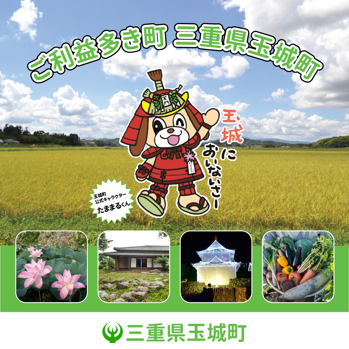 コウモリラン(ビカクシダ)焼き杉板付け