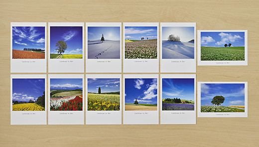 写真家 阿部俊一 ポストカード[006-23]