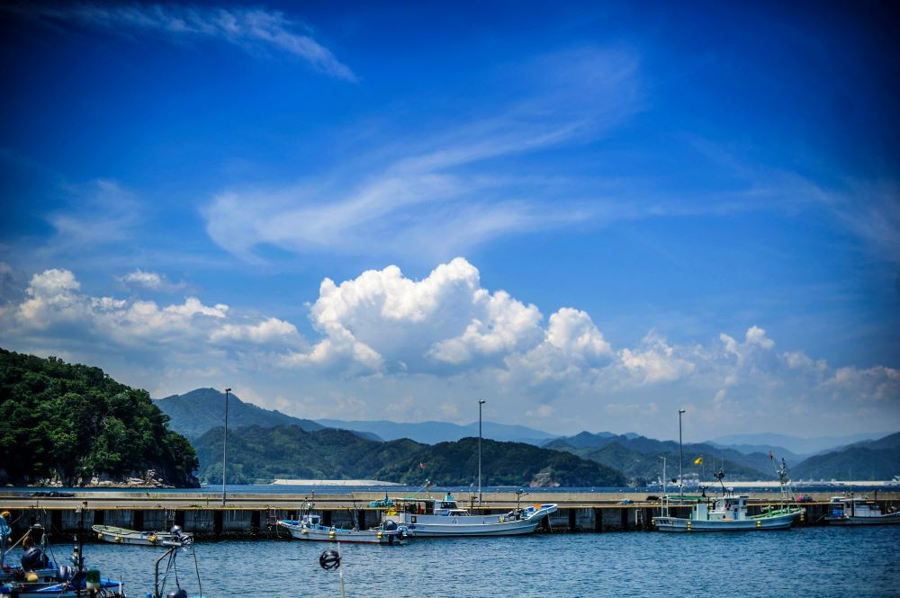 fc-40-003 【出荷前にお電話します!】 活毛ガニ 3杯 (280~380g×3) 三陸産  【令和8年2月上旬~4月頃お届け】ヤマコー片桐鮮魚店