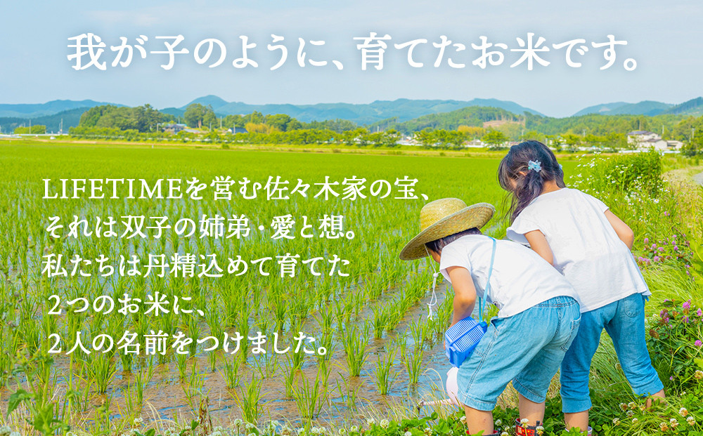 ササニシキ 玄米 5kg 米 化学肥料不使用 お米 コメ こめ ささにしき ご飯 ごはん 主食 ライス 5キロ 産地直送 国産 宮城県 石巻市