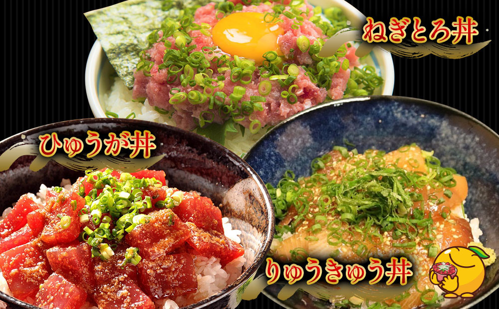 どんぶり3種セット ぶりのりゅうきゅう丼・まぐろの漬け丼(ひゅうが丼)・まぐろのたたき(ねぎとろ)セット ねぎとろ 鮪丼 まぐろ 大分県産 九州産 津久見市 熨斗対応