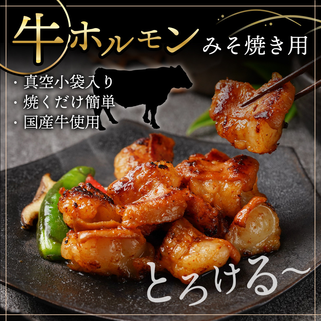 牛・豚・鶏ももみそ焼きセット(牛ホルモン・豚ロース・若鶏もも)≪みやこんじょ特急便≫_AA-I601-Q_(都城市) 国産 真空 牛ホルモンみそ焼き用 豚ロース肉みそステーキ用 若鶏ももみそ焼き用