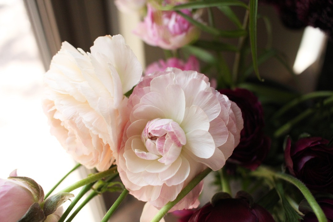 【毎月お届け】季節のお花（生花・花器付き）の定期便・Sサイズ　6か月 〈 フラワーアレンジメント 花 定期便  記念日 誕生日 お祝い ギフト プレゼント インテリア 自宅用 全国発送 送料無料 冷蔵 そのまま飾れる かわいい ※お届け日指定不可  〉