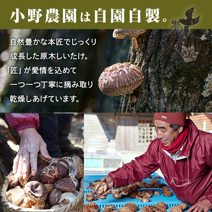 原木 乾しいたけ (計210g・70g×3P) 原木栽培 干し椎茸 しいたけ きのこ 出汁 大分県産 大分県 佐伯市 本匠  【ES08】【小野農園】