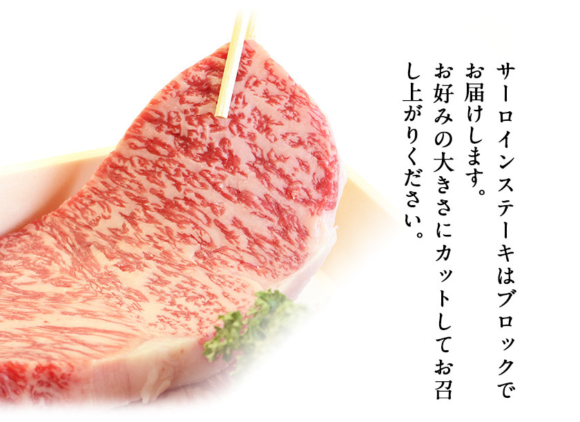 鞍手町 ふるの牛 頒布会 計5kg以上 全6回《お申込み月の翌月から出荷開始》ふるの牛 サーロインステーキ 特選焼き肉用 ロース カルビ すき焼き しゃぶしゃぶ ロース サーロインブロック 焼肉 焼肉用 定期便 頒布会 3ヶ月定期便
