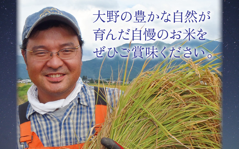【先行予約】【令和8年産 新米】星降るまち 越前大野の「満天コシヒカリ」白米 10kg (5kg×2袋)