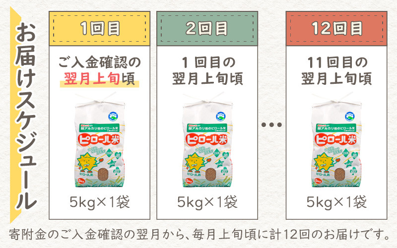 【先行予約】【令和8年産 新米】【12ヶ月定期便】ミネラル豊富!弱アルカリ性のピロール米 ミルキークイーン 玄米 5kg × 12回 計60kg 化学肥料5割以下・減農薬