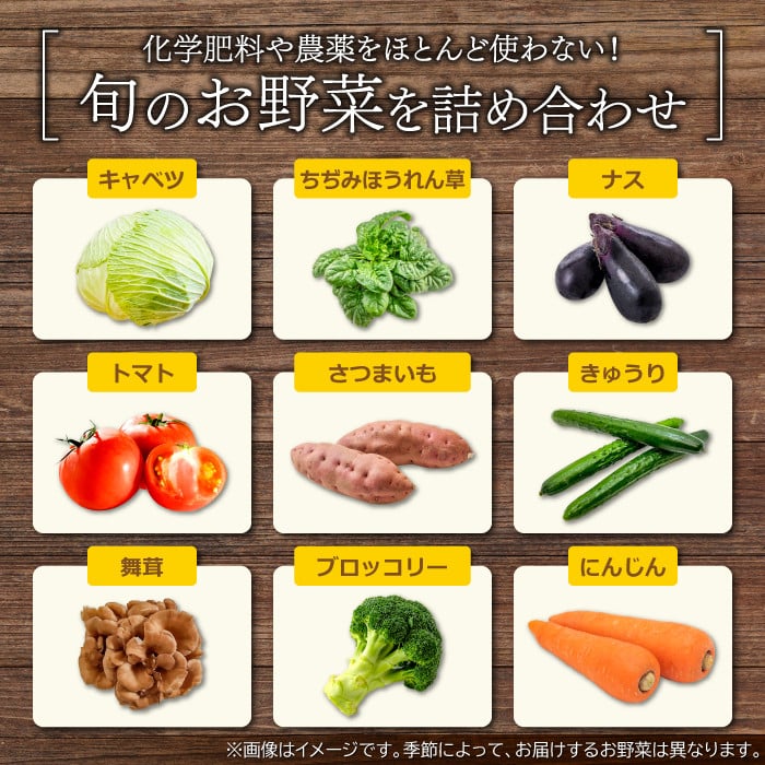 【3回定期便】季節のお野菜と平飼い卵のセット (10~12品) 【定期便 コース 野菜 やさい 旬の野菜 季節の野菜 おまかせ 採れたて 減農薬 減化学肥料 新鮮 10～12品 卵 たまご 平飼い卵 10個 破損保証 4個 詰め合わせ セット 冷蔵 全3回 定期】