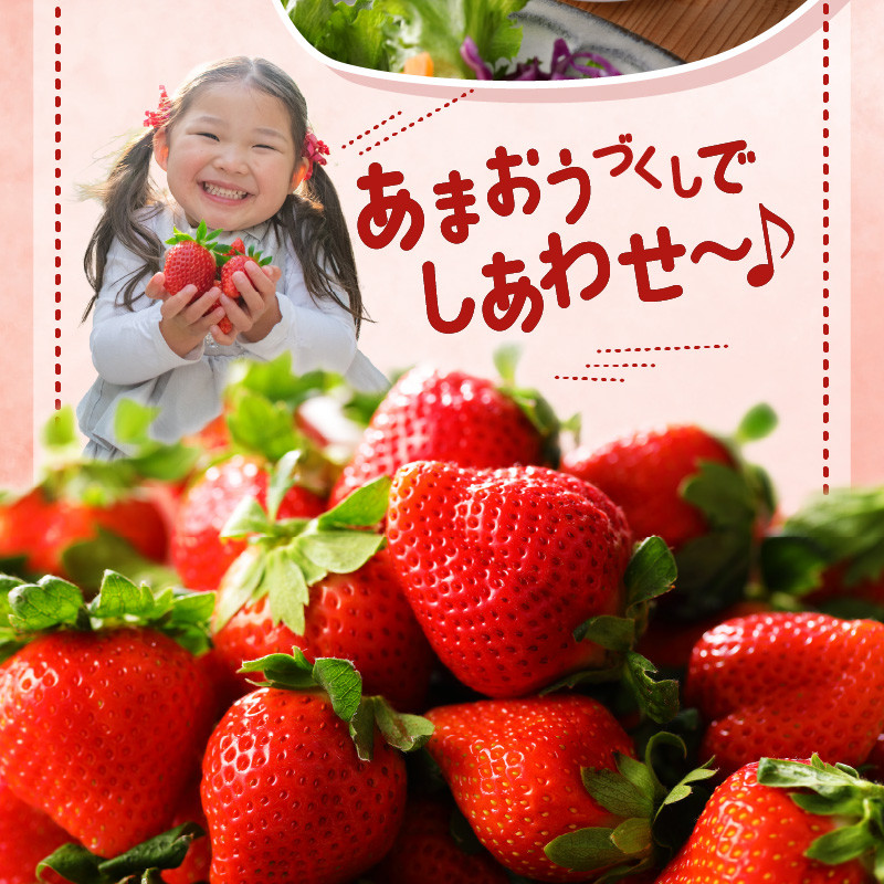 福岡県産 あまおう 約560g（約280g×2パック）_いちご あまおう 2026年 1月 上旬より発送 約 280g × 2パック 合計 約 560g 福岡県産 食べごたえのある大きさ 果汁 スイーツサンド パフェ ショートケーキ 旬 果物 フルーツ スイーツ おやつ 久留米市 冷蔵 お取り寄せ 送料無料_Fi049