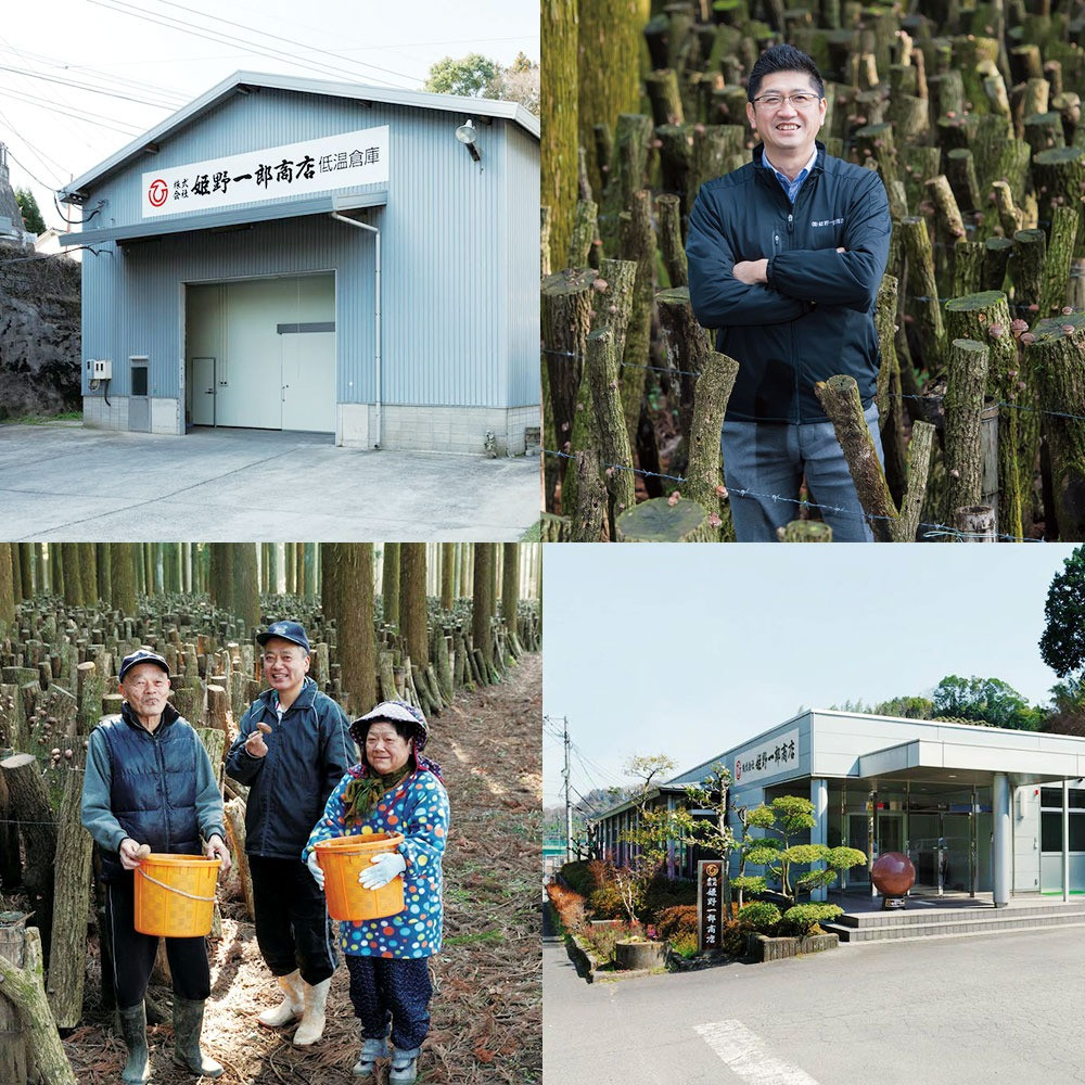 大分県産 特選どんこ 160g （乾しいたけ） FT15