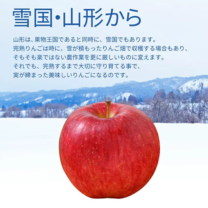 りんご 訳あり サンふじ 10kg (30~44玉) 山形県産 《先行予約 2026年11月中旬から発送開始》 リンゴ 林檎 デザート フルーツ 果物 くだもの 果実 食品 山形県 FSY-1394