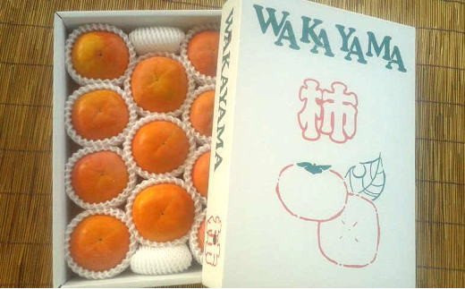 【2026年秋・発送分！】［厳選・産直］和歌山産の富有柿約4kg（化粧箱入り）（2L～4Lサイズ）★2026年11月上旬頃より順次発送【tec401B】