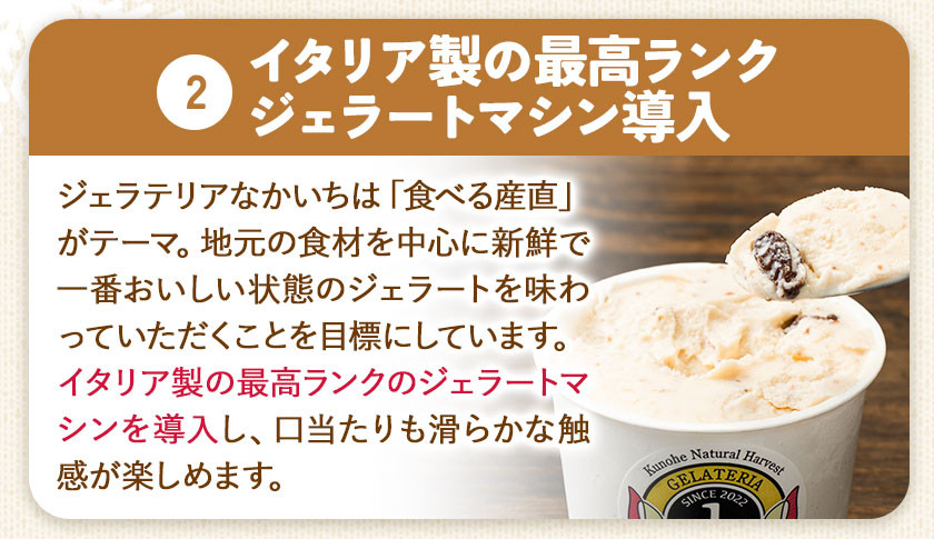 ジェラート 6種 6個 バラエティーセット GELATERIA NAKAICHI《30日以内に出荷予定(土日祝除く)》岩手県 九戸村 ジェラート アイス ミルク チョコ 抹茶 リンゴ ラムレーズン