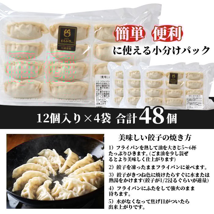 【石垣島ブランド豚】もろみ豚 特製 餃子 4パック【合計48個】【もろみで育てる自慢の豚肉】ぎょうざ 小分け AH-5
