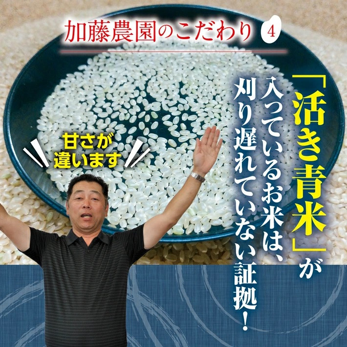 12月下旬発送開始/【3回定期便】令和7年産 無洗米 特別栽培米 雪若丸 5kg×3回(計15㎏)「農家直送」 KA SF0273