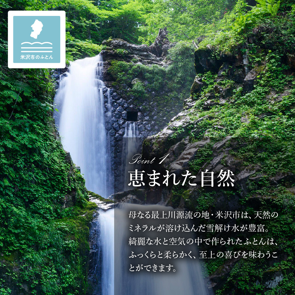 羽毛移動防止特殊構造 ポーランド産ホワイトグースダウン95% 羽毛増量 高級掛け布団 440dp シングル ブルー