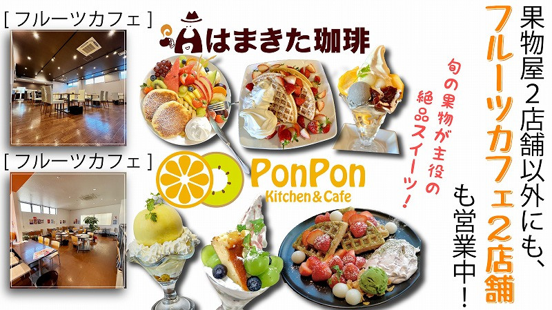 三豊市産の厳選フルーツ詰合せ♪【オリオン座コース】