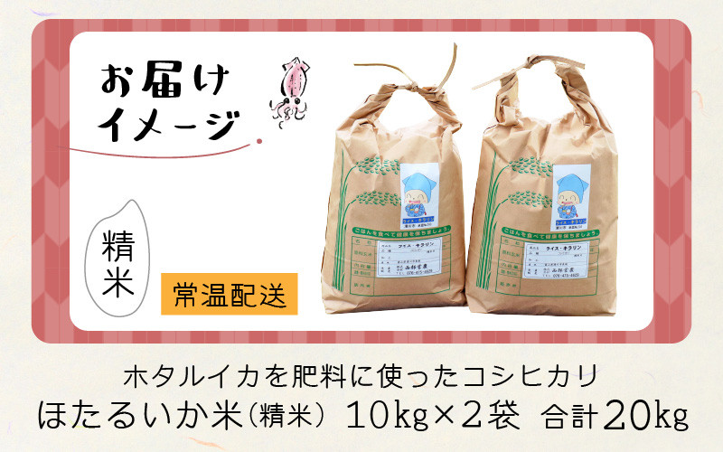 【訳あり】ほたるいか米（精米20kg）【通年発送】 【訳あり 米 コシヒカリ こしひかり ほたるいか ホタルイカ お米 ブランド米 富山 滑川】