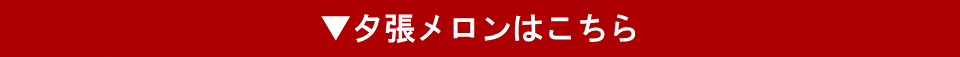 T08【定期便10か月連続】夕張メロンのお菓子詰め合わせセット