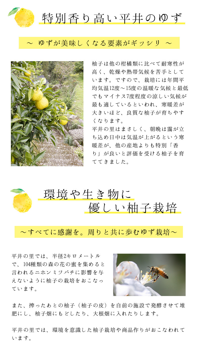 古座川町の ゆず茶 260g 3個 マーマレード ジャム ゆず ユズ 柚子 柚【yuz140A】