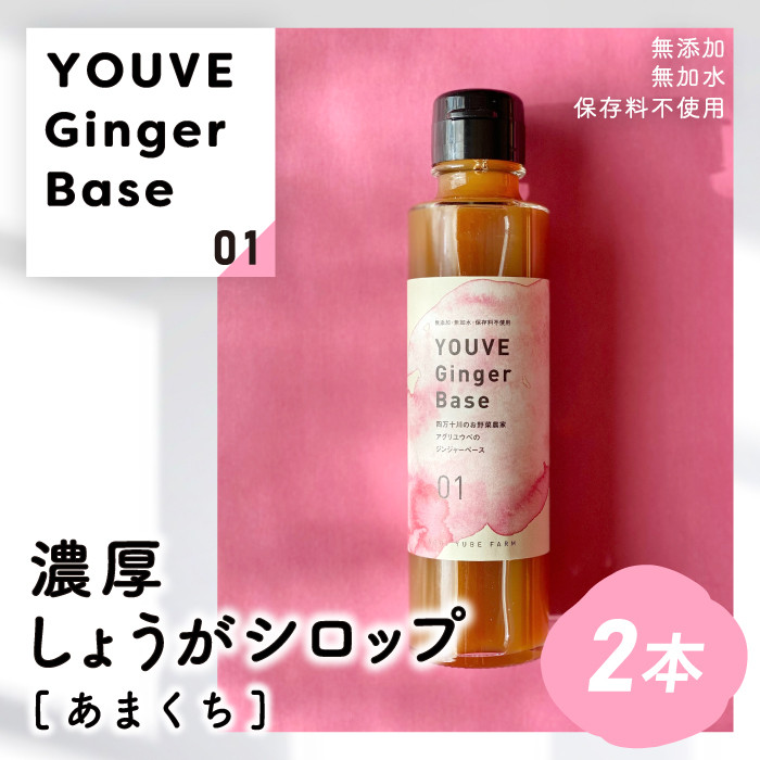 生姜好きさんにオススメ！ 濃厚 しょうがシロップ 2本セット【あまくち】国産 生姜シロップ 自家製 生姜 しょうが ショウガ ジンジャー シロップ 甘口 ドリンク 料理 調味料 高知 四万十 四万十市 しまんと 産地直送 25-756