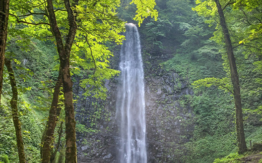 3回定期便【水の郷百選】山形県 鳥海山 氷河水（ひょうがすい） 500ml×24本 天然水 ミネラルウォーター 軟水 F2Y-6302